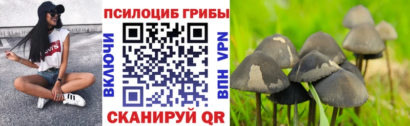 Псилоцибиновые грибы GOLDEN TEACHER  Байкальск 