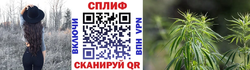 Канабис VHQ  Байкальск 